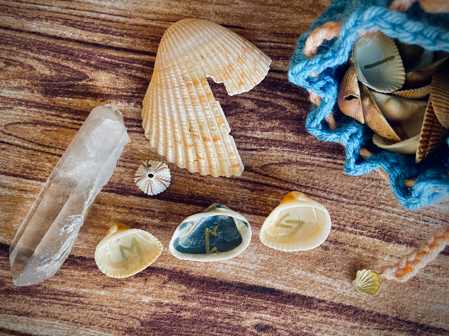 Sea shell runes on a wood surface with crystals and a broken shell next to it, as well as a sea urchin shell.
