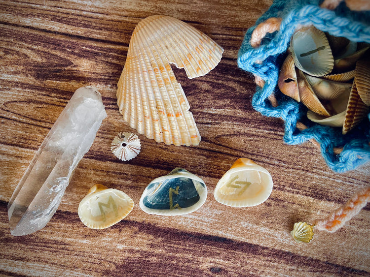 Sea shell runes on a wood surface with crystals and a broken shell next to it, as well as a sea urchin shell.