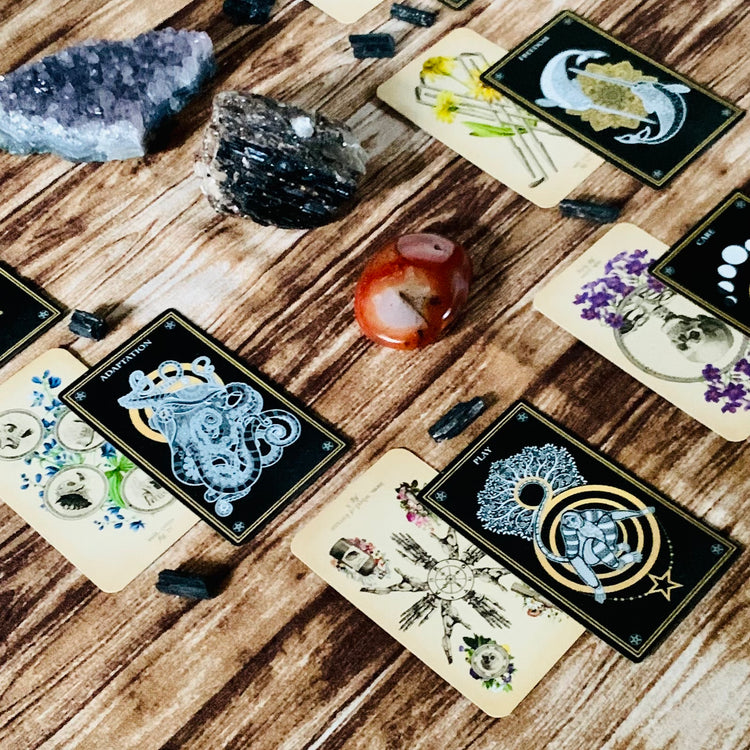 tarot readings
