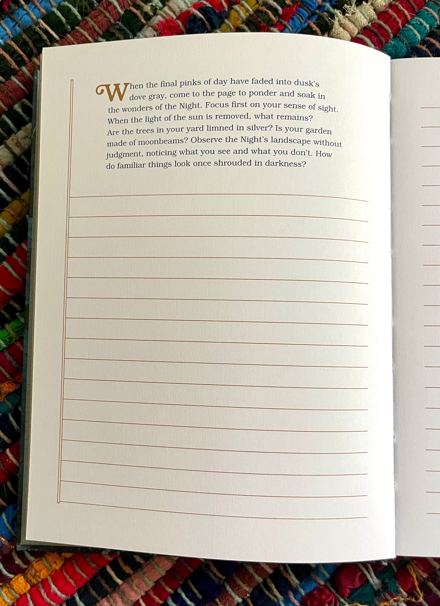 Notes for the Night: A Guided Journal for Moonlit Magic by Maia Toll (like new)