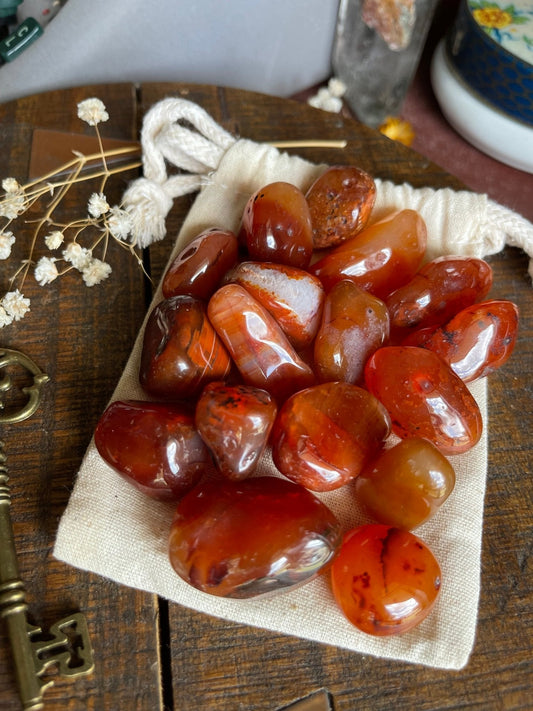 carnelian | tumbled - lil shop of light & love