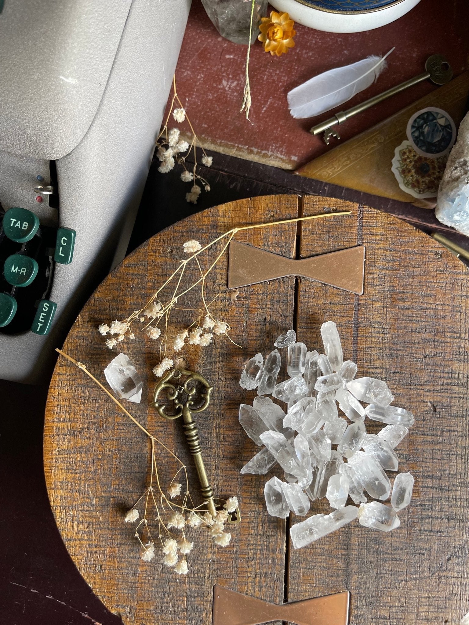 lemurian seed quartz points - lil shop of light & love