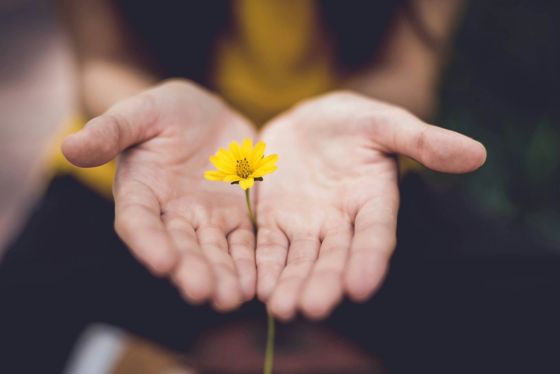 reiki healing | distance session for crisis recovery - Lil Shop of Light & Love