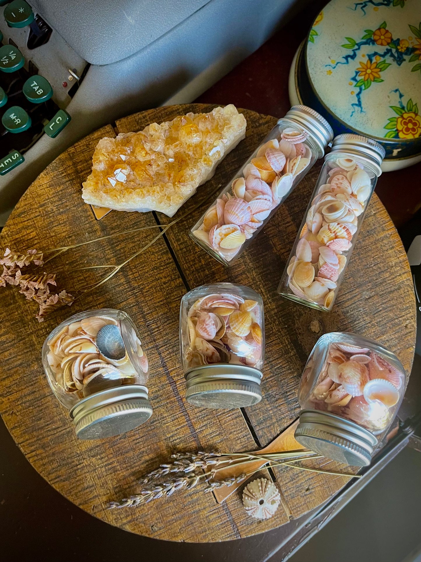 jar of pretty lil sea shells