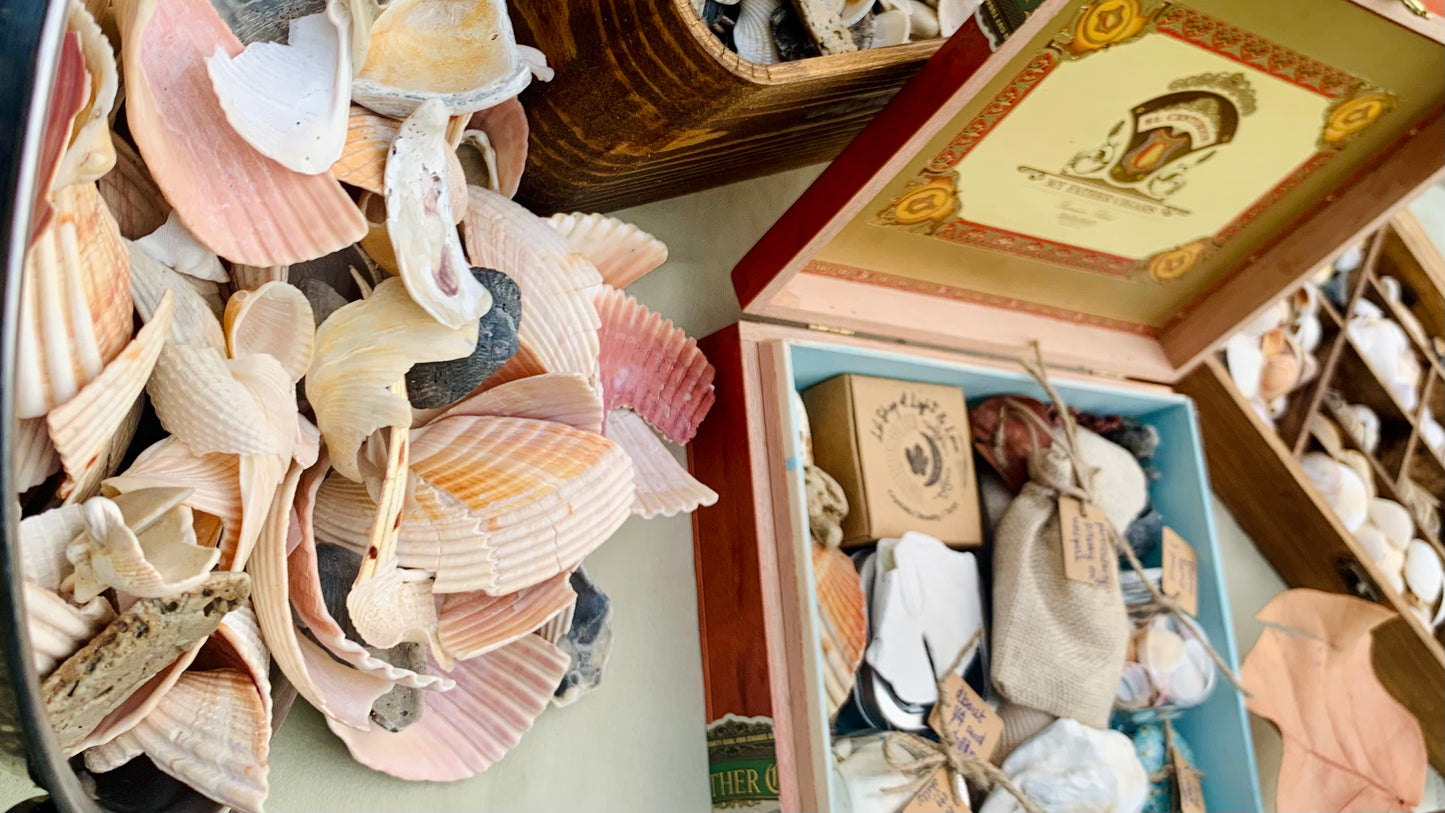 sea witch mystery boxes