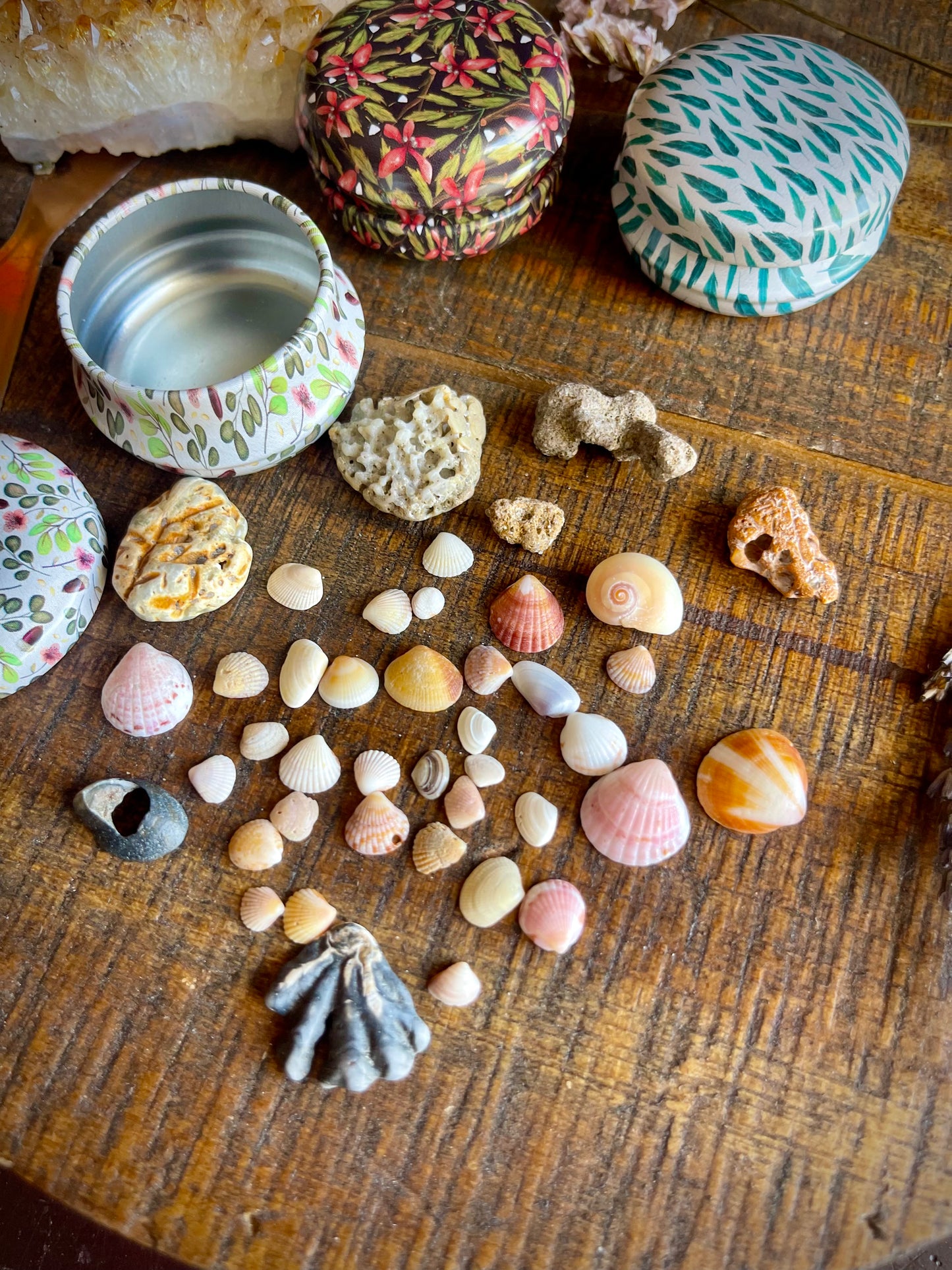 sea witch mini mystery tin