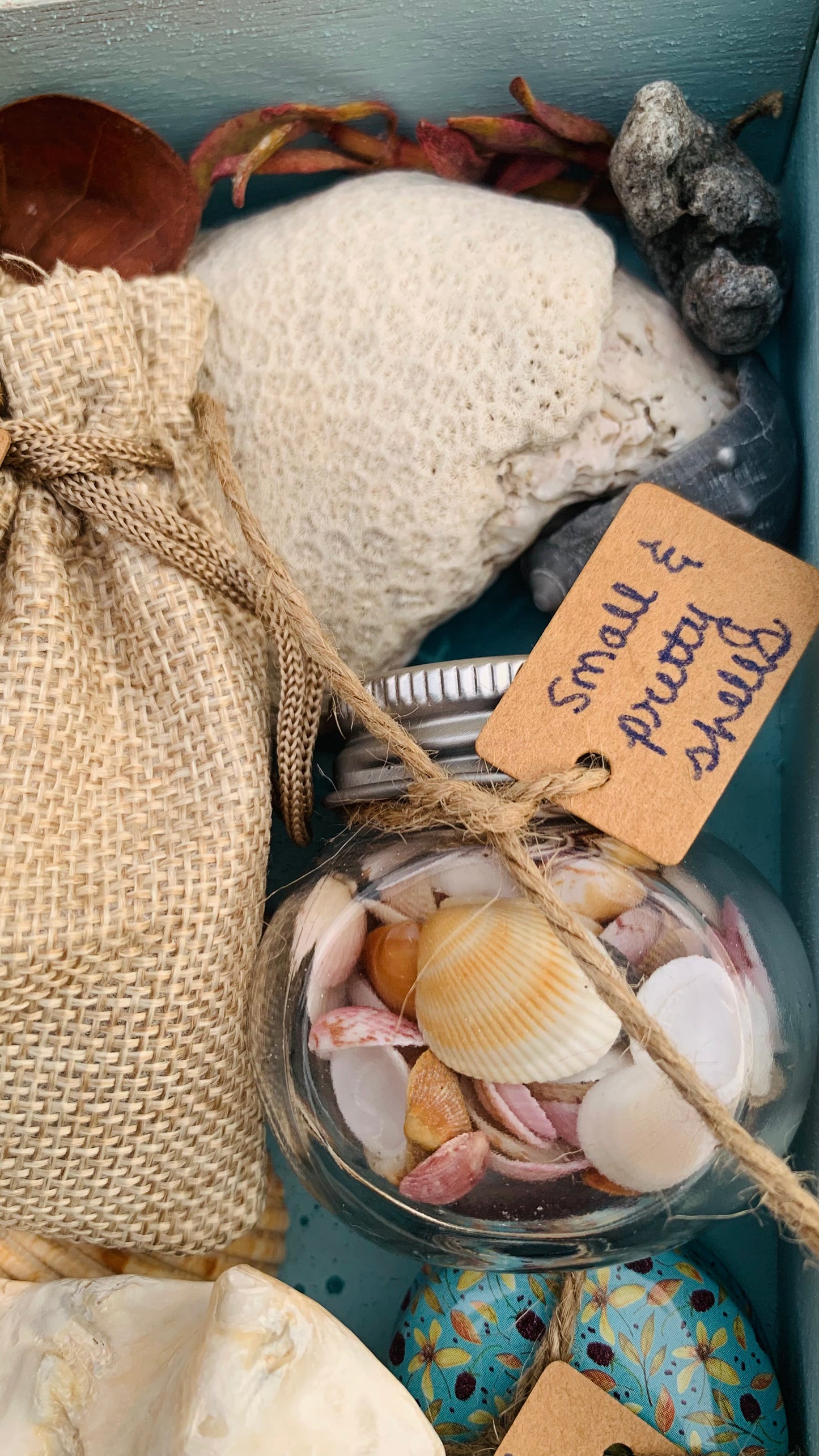 sea witch mystery boxes