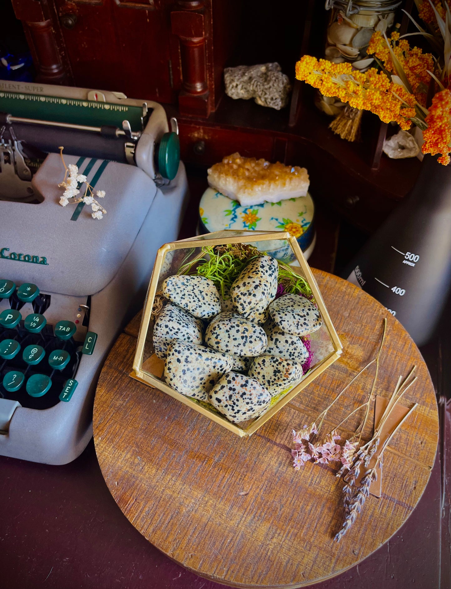 dalmatian jasper | large tumbled