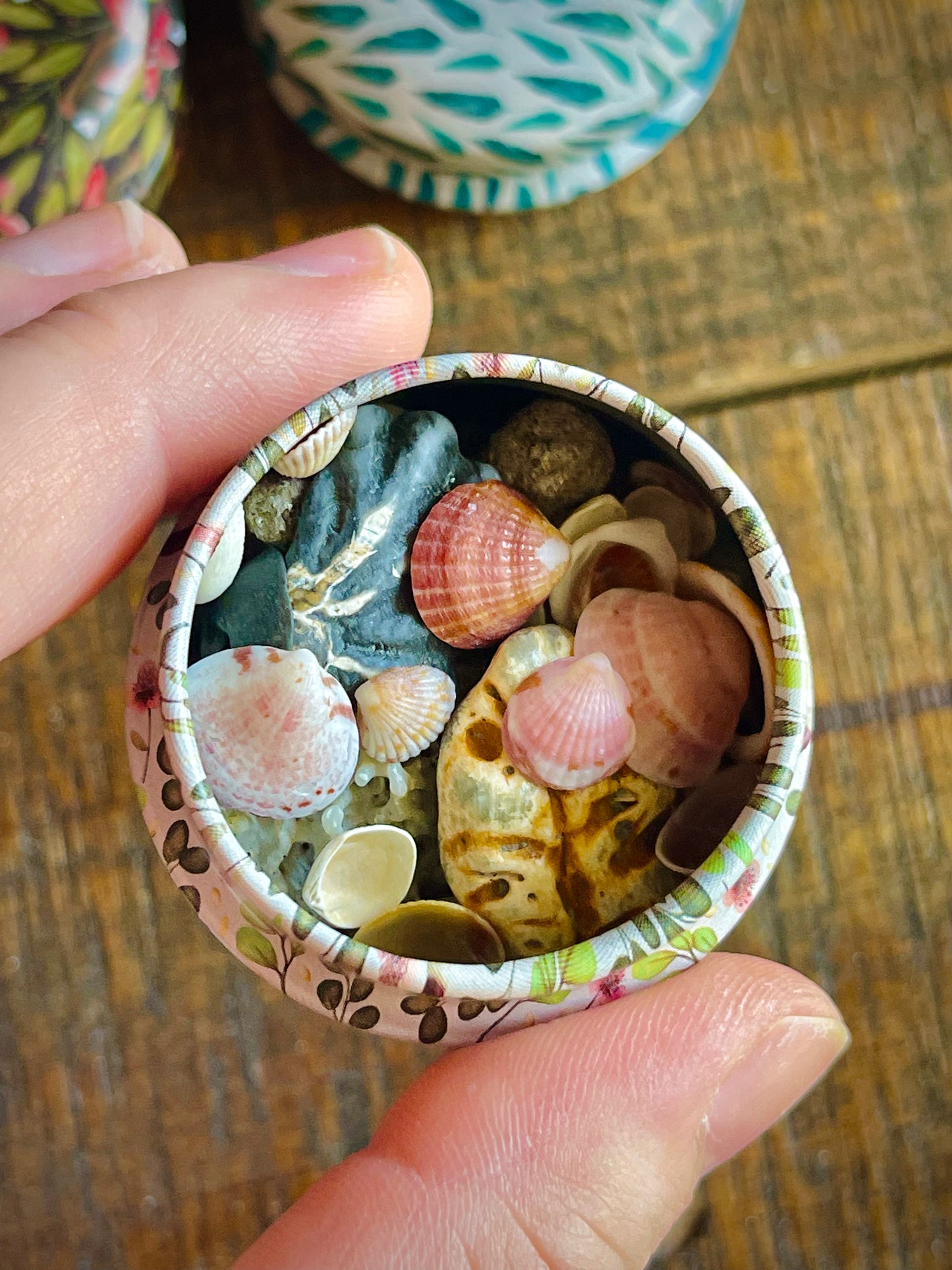 sea witch mini mystery tin