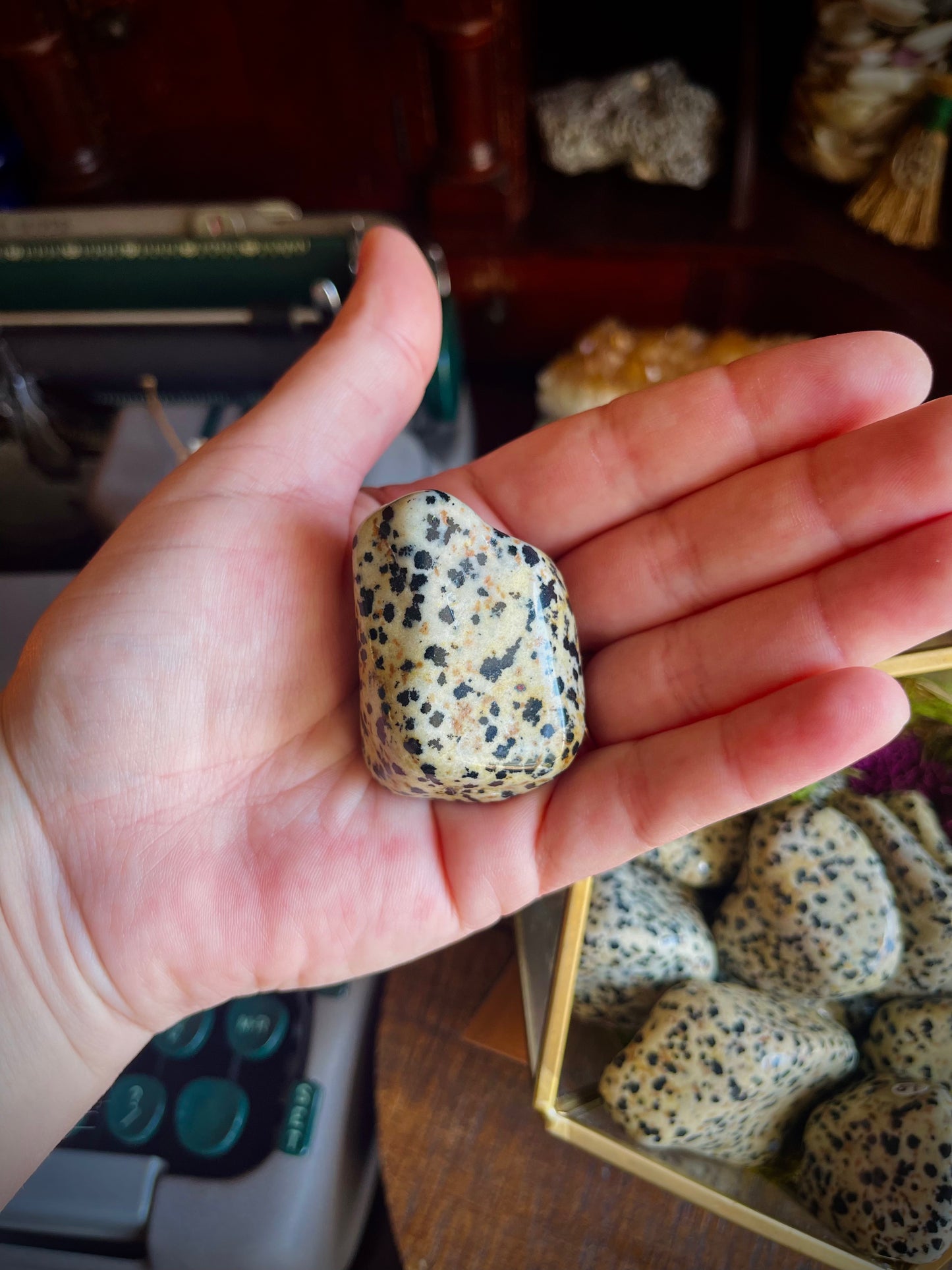 dalmatian jasper | large tumbled