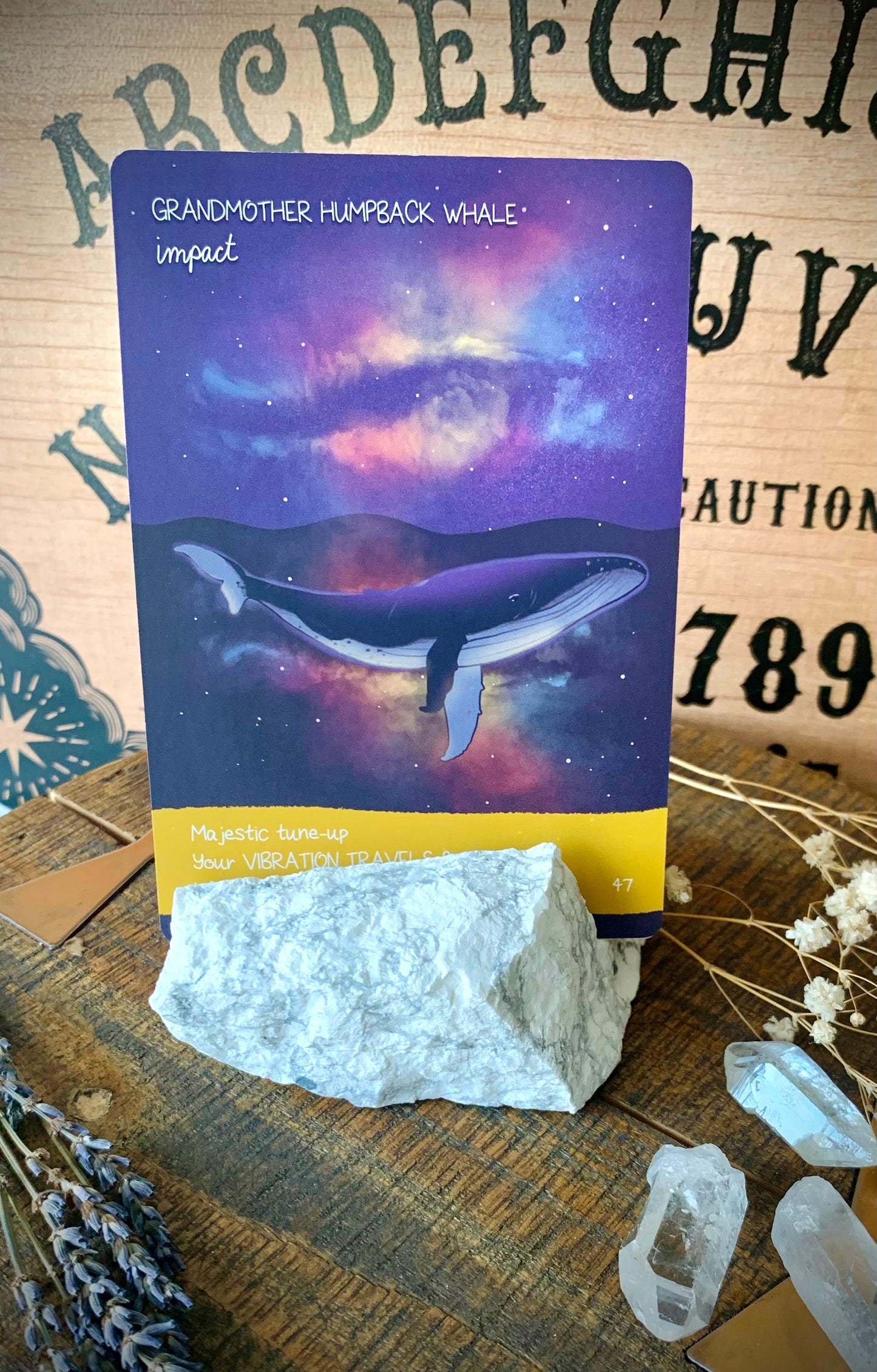 crystal card holders