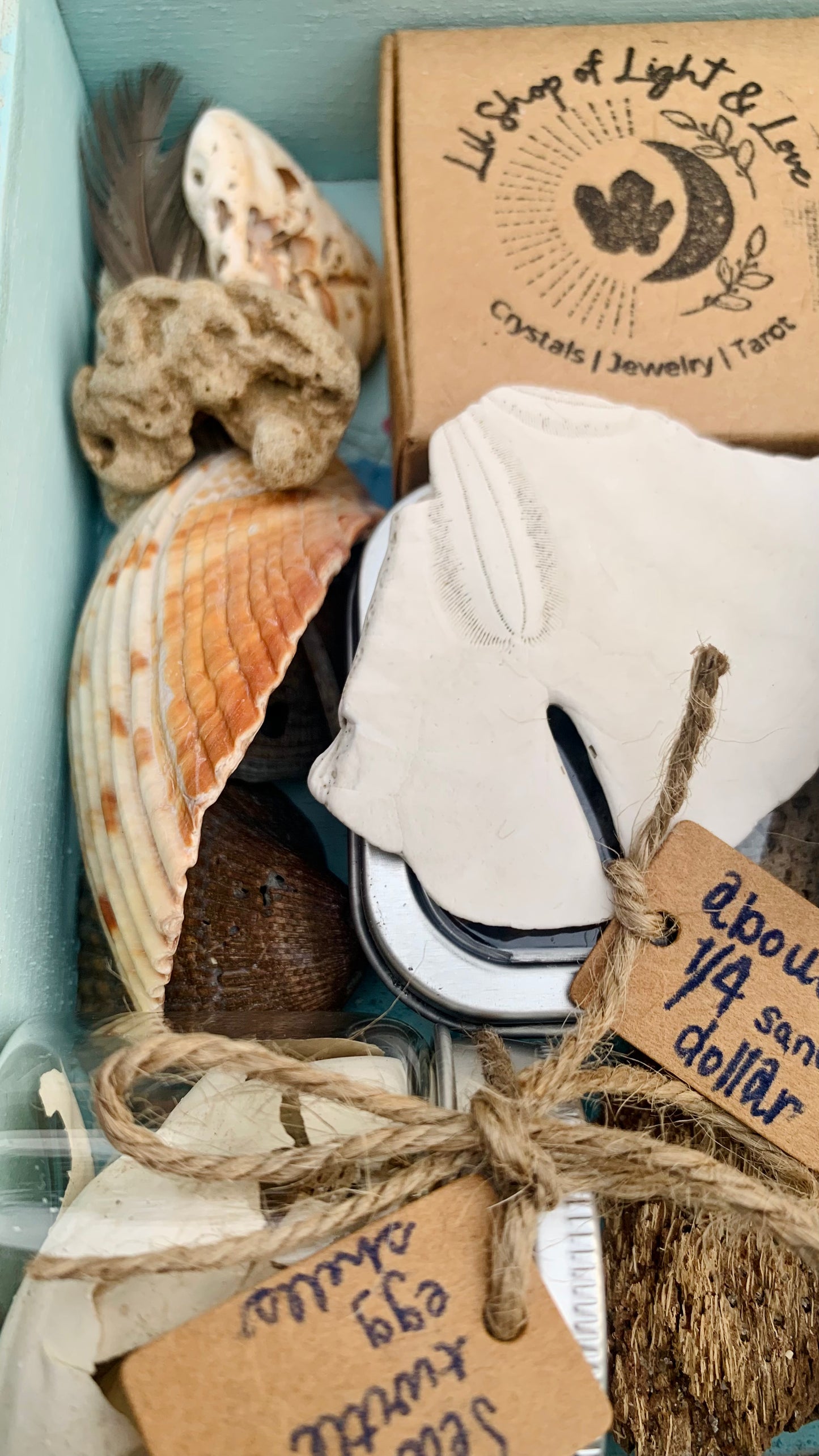 sea witch mystery boxes