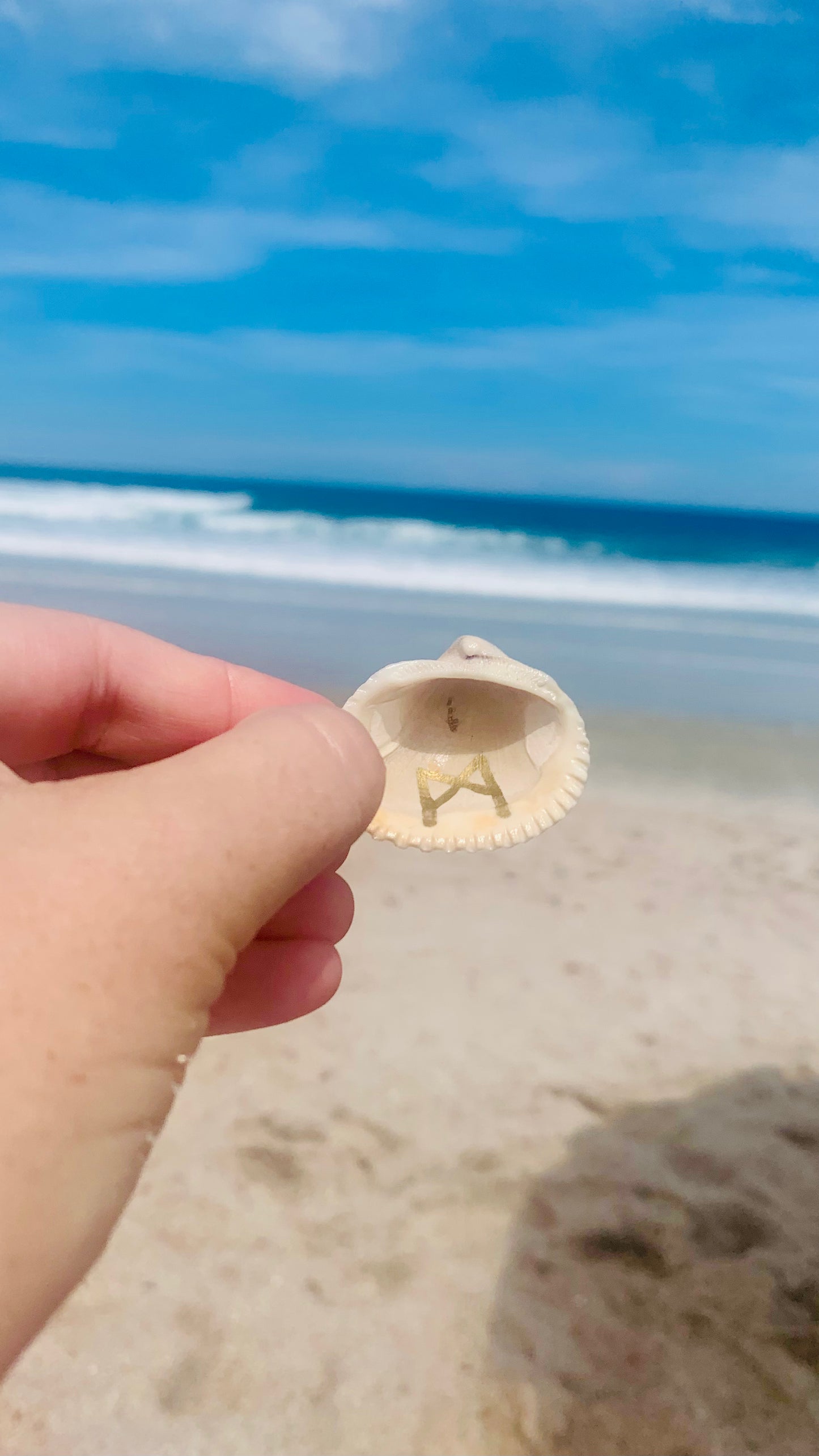 sea shell runes