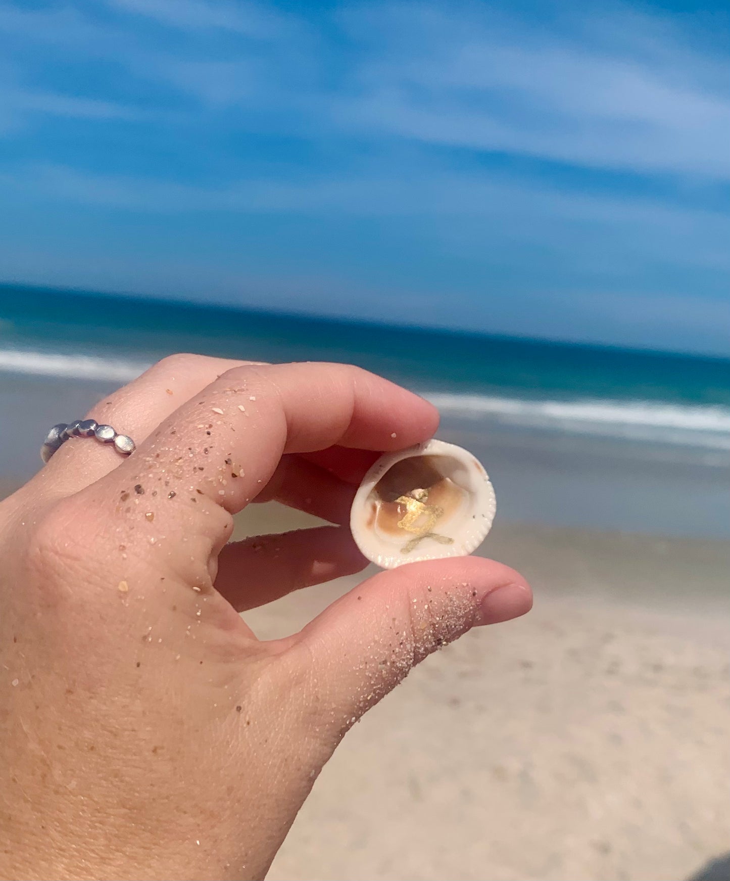sea shell runes