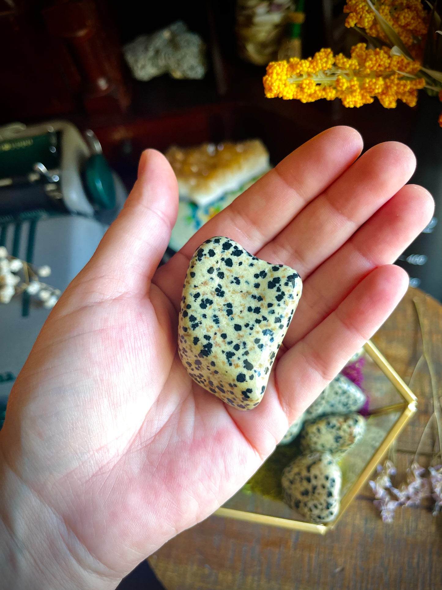 dalmatian jasper | large tumbled