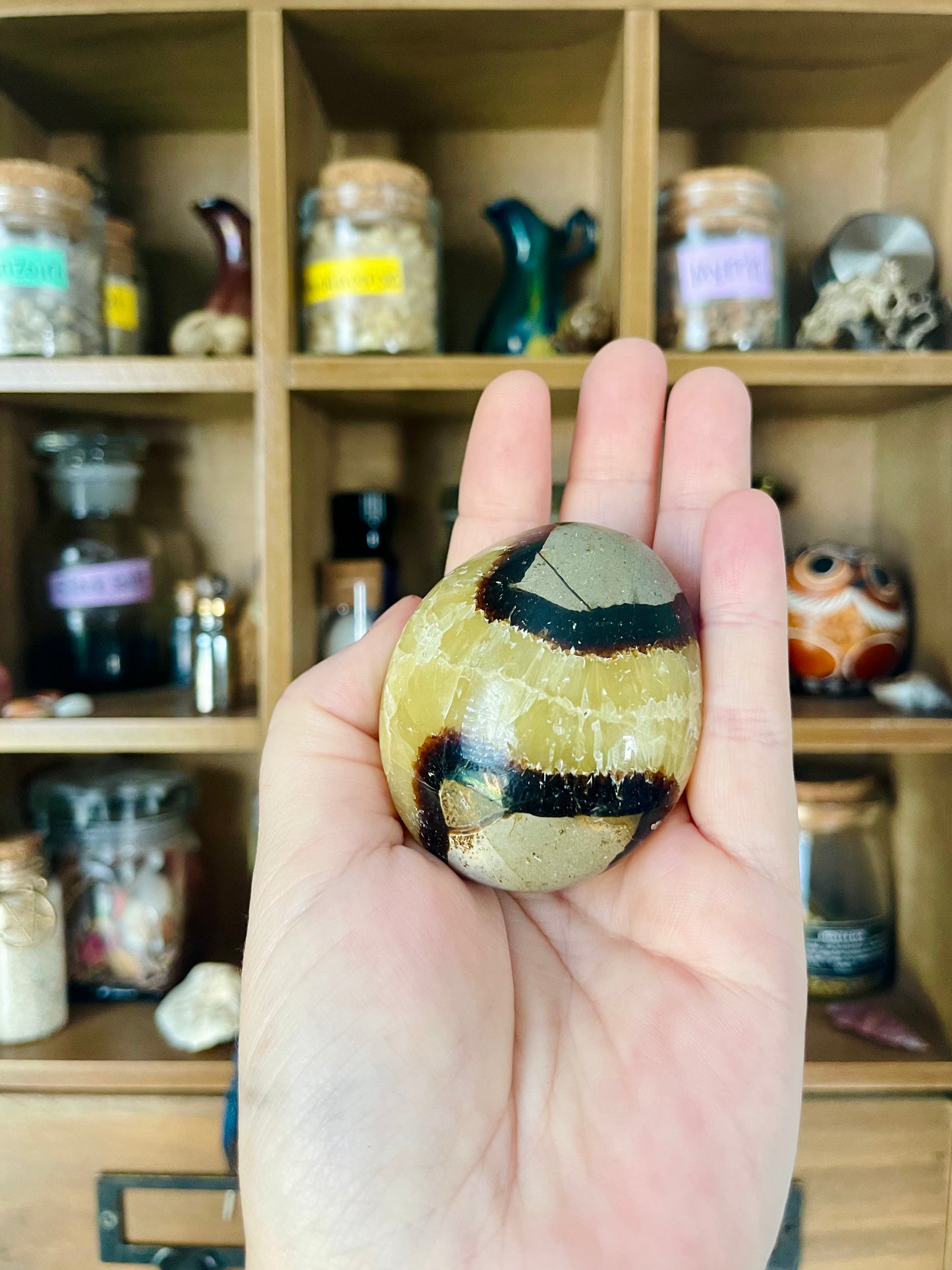 septarian palm stones