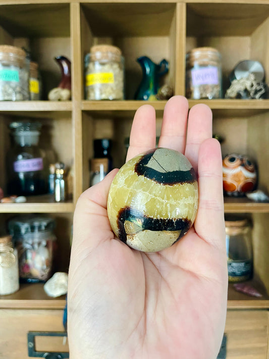 septarian palm stones