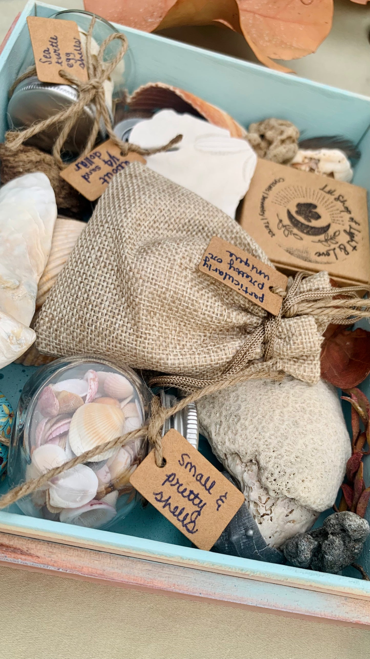 sea witch mystery boxes