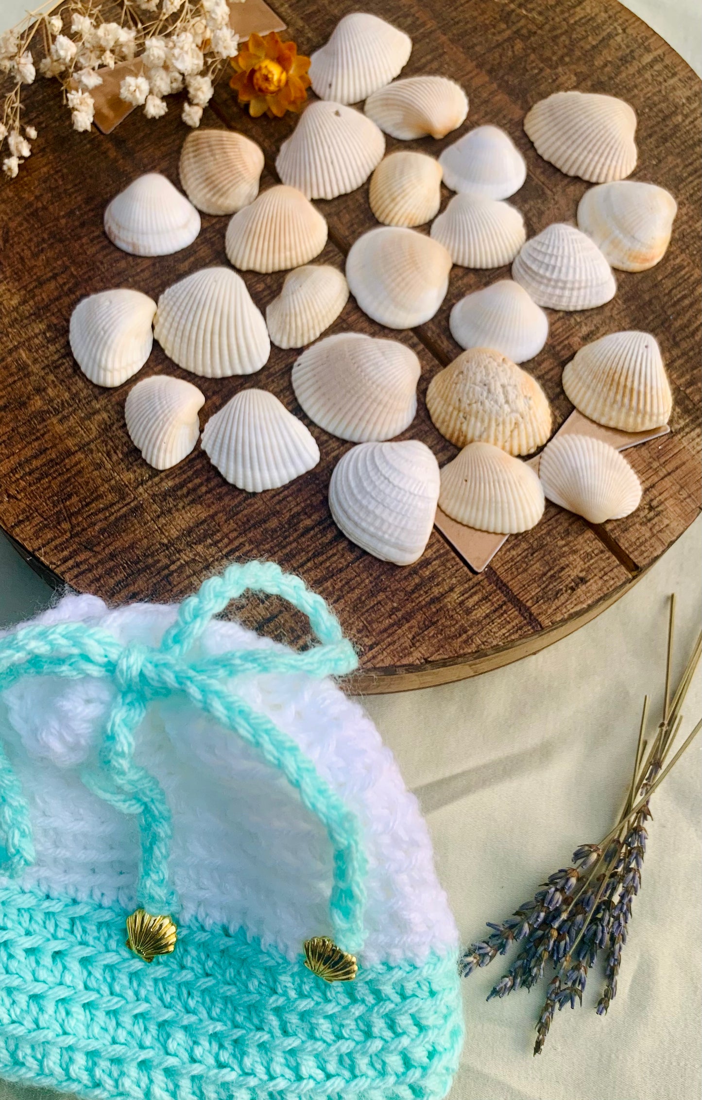 sea shell runes