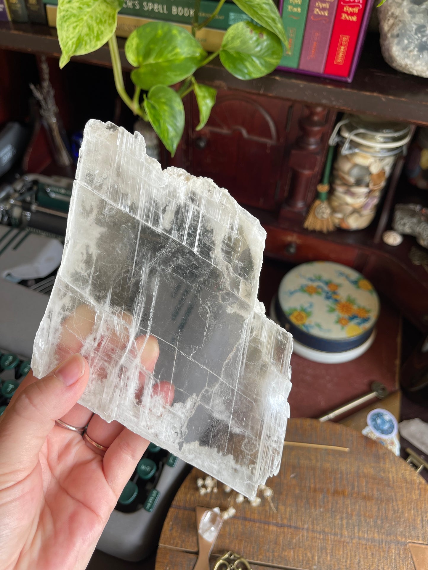 raw selenite crystal slab