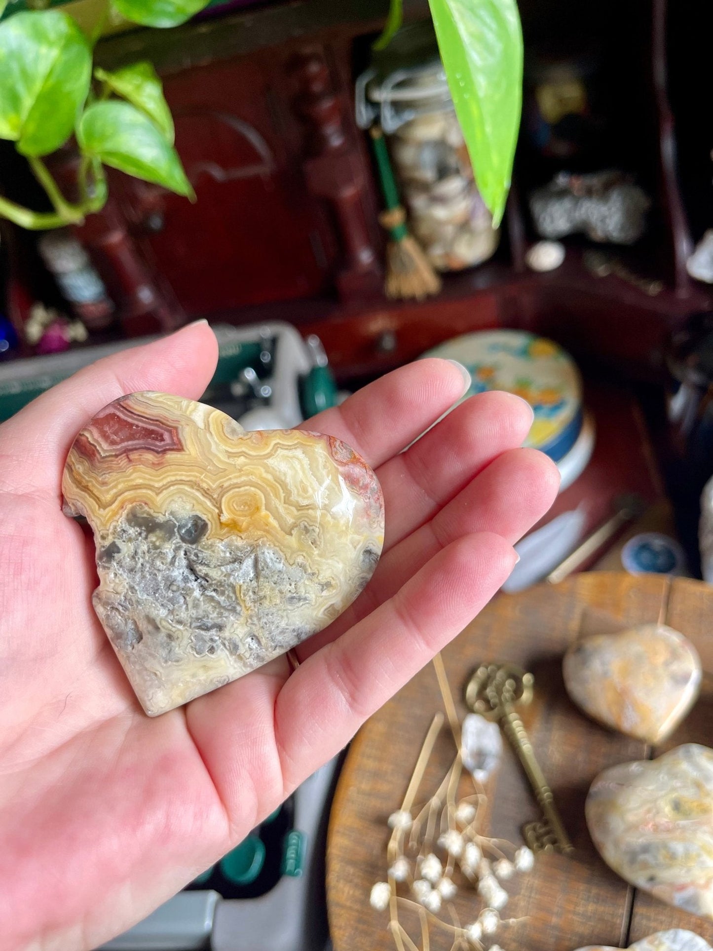 crazy lace agate | heart palm stones - lil shop of light & love