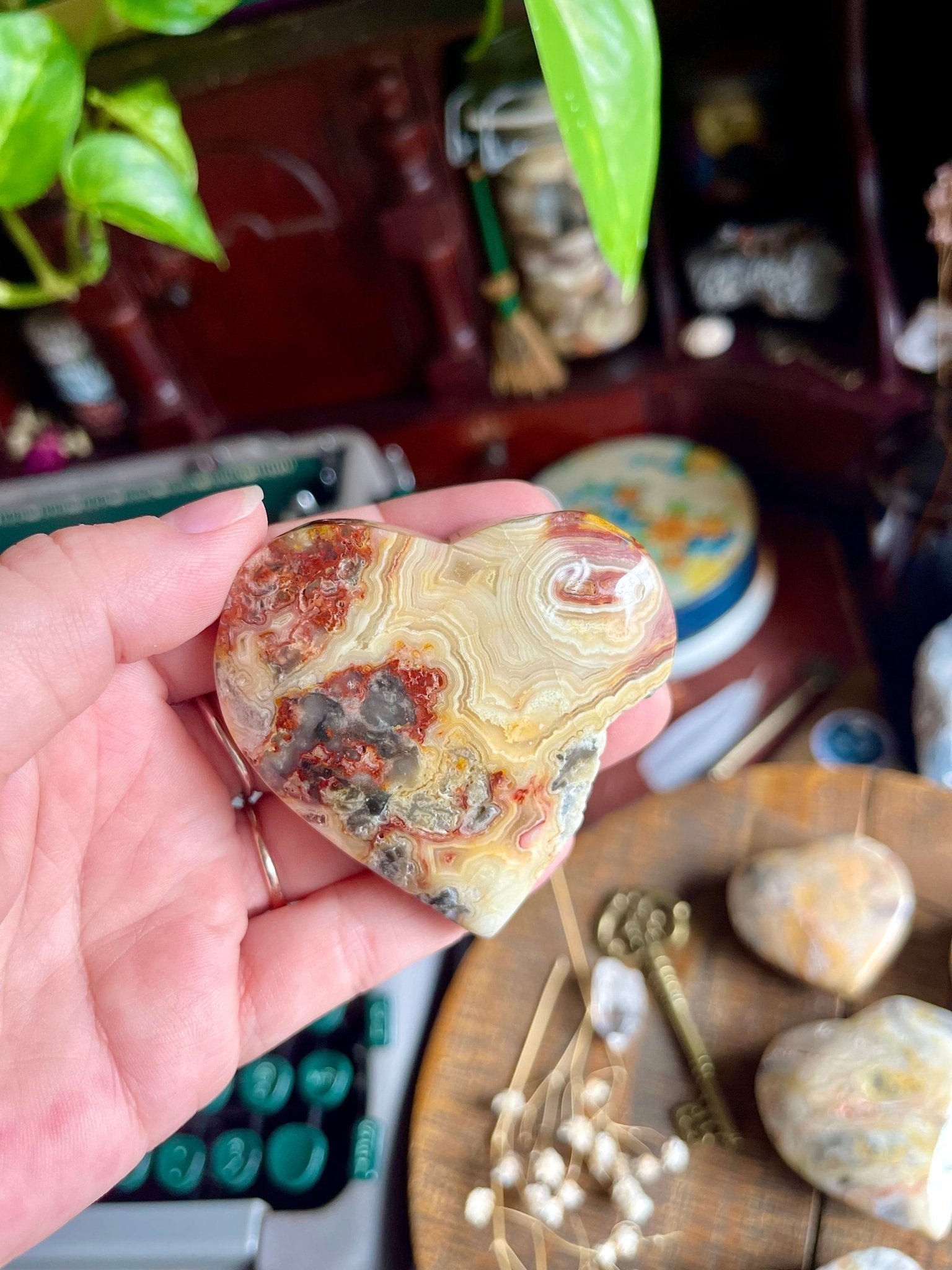 crazy lace agate | heart palm stones - lil shop of light & love