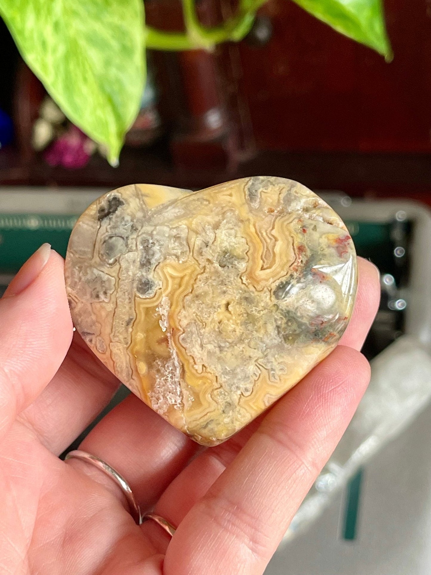 crazy lace agate | heart palm stones - lil shop of light & love