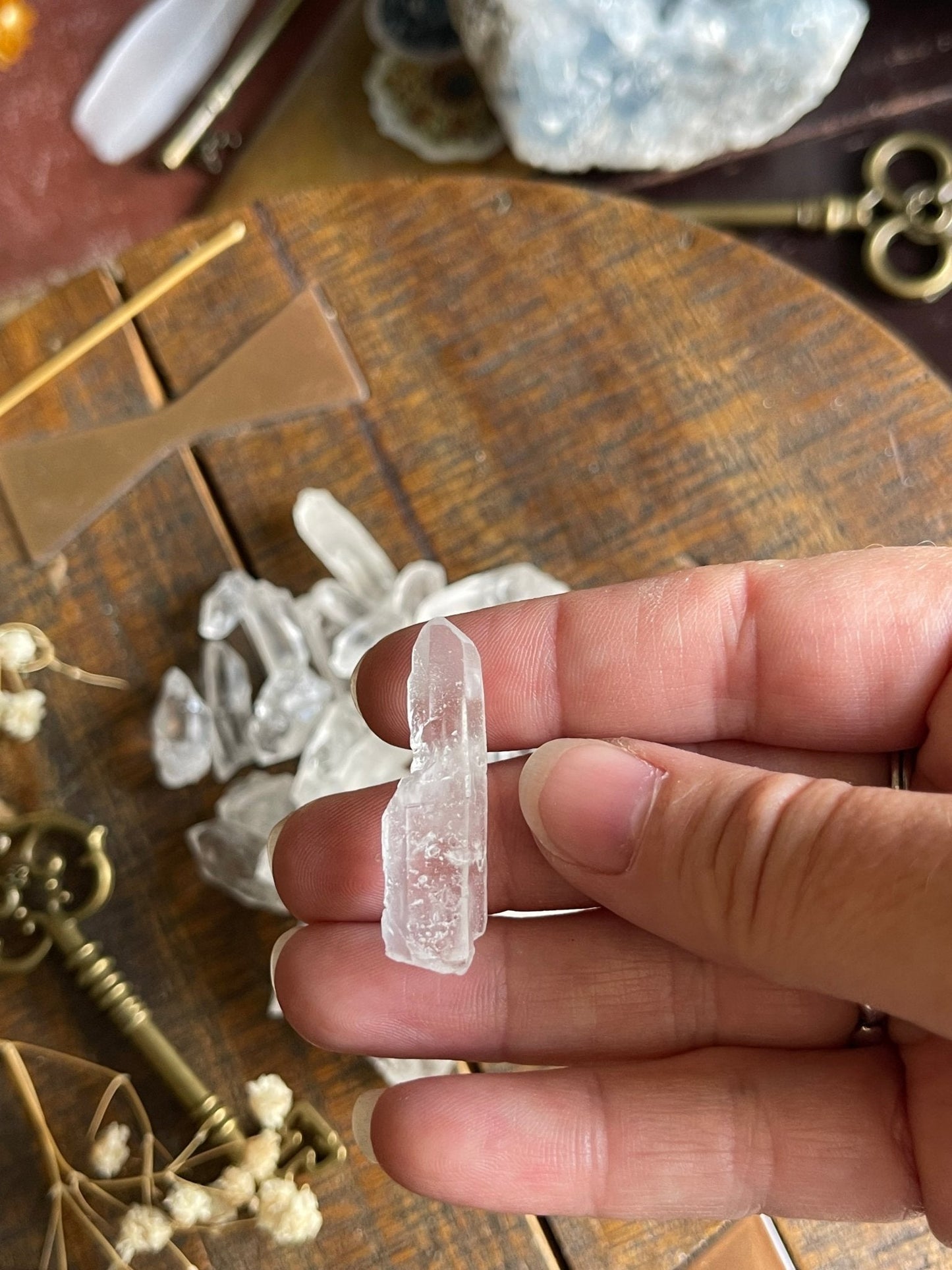 lemurian seed quartz points - lil shop of light & love