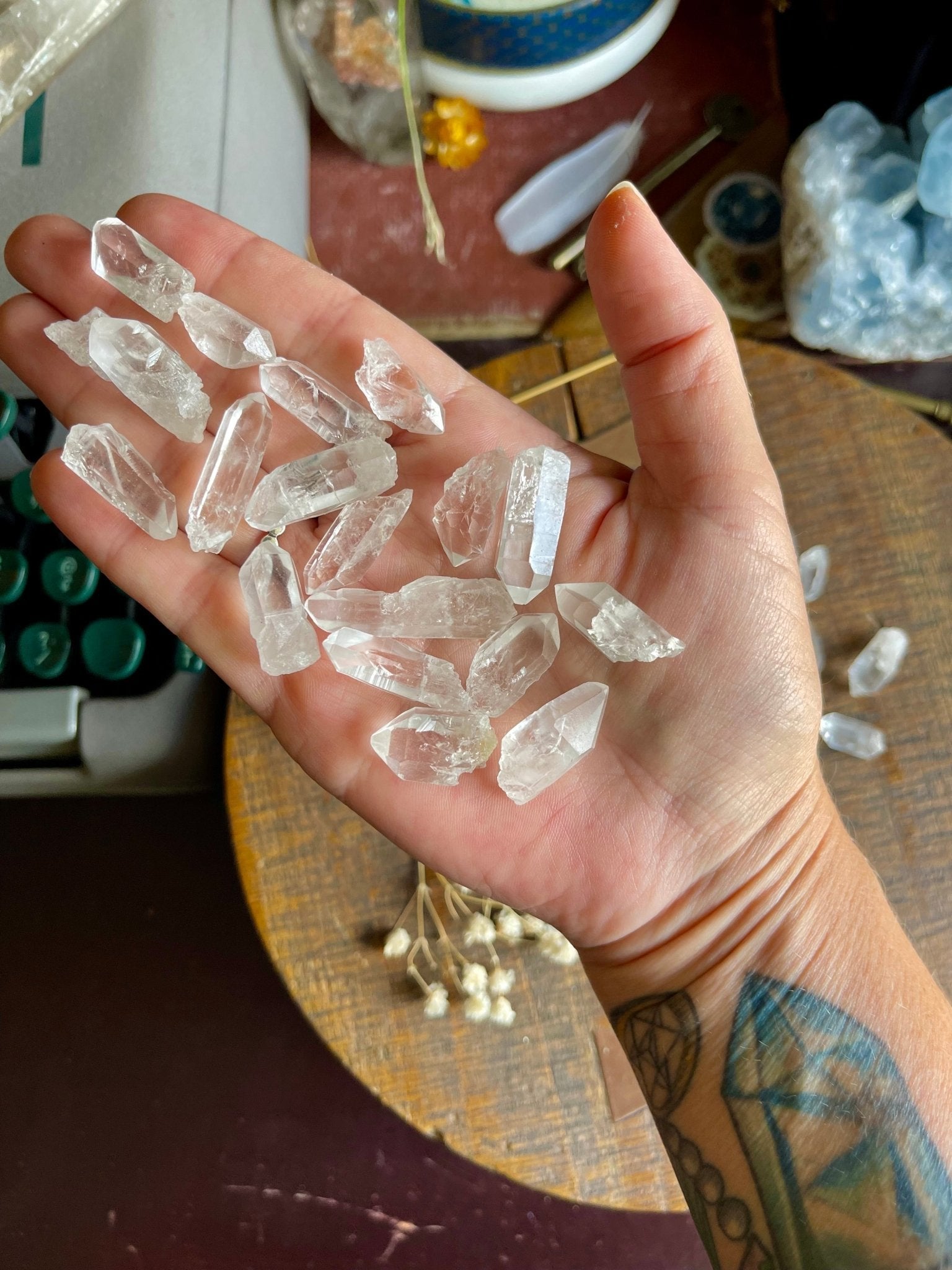 lemurian seed quartz points - lil shop of light & love