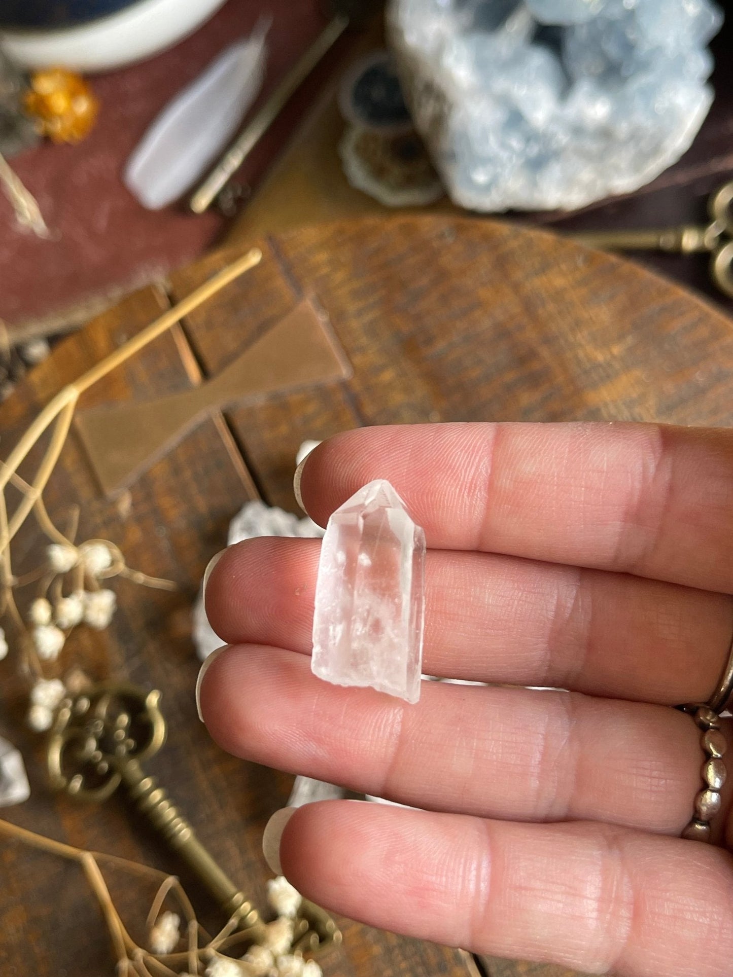 lemurian seed quartz points - lil shop of light & love