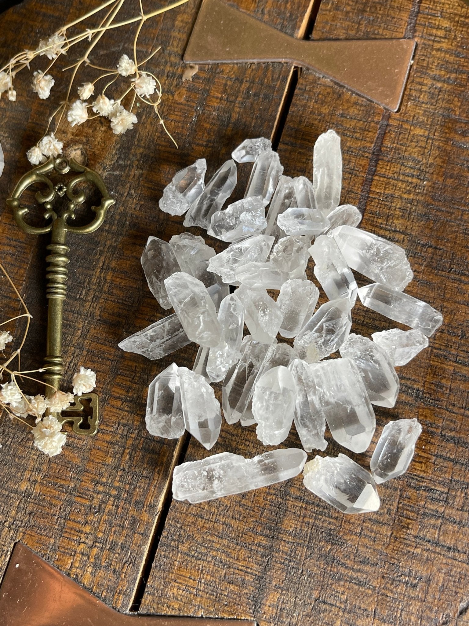 lemurian seed quartz points - lil shop of light & love