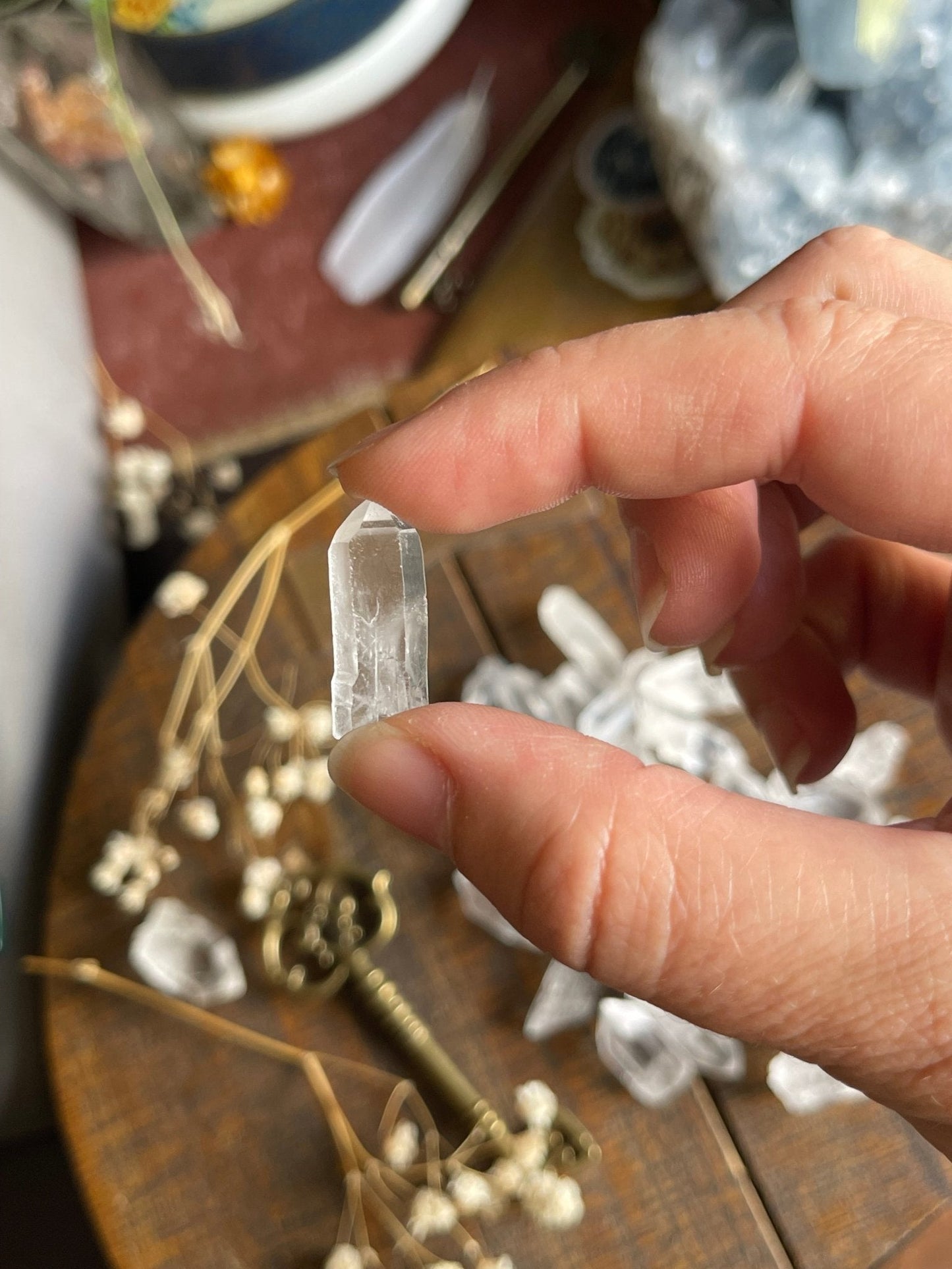 lemurian seed quartz points - lil shop of light & love