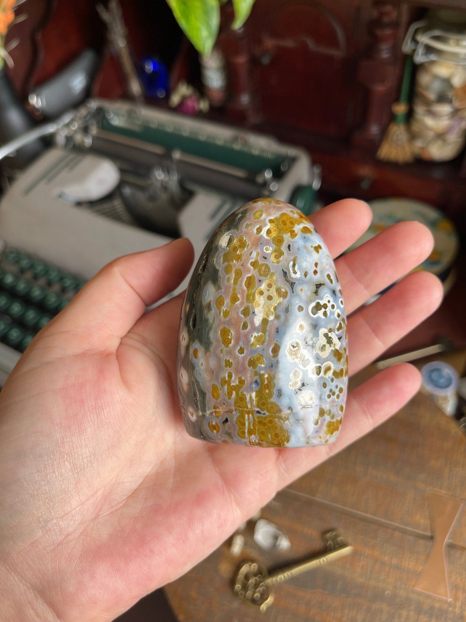 ocean jasper polished free form (orbicular chalcedony) - lil shop of light & love