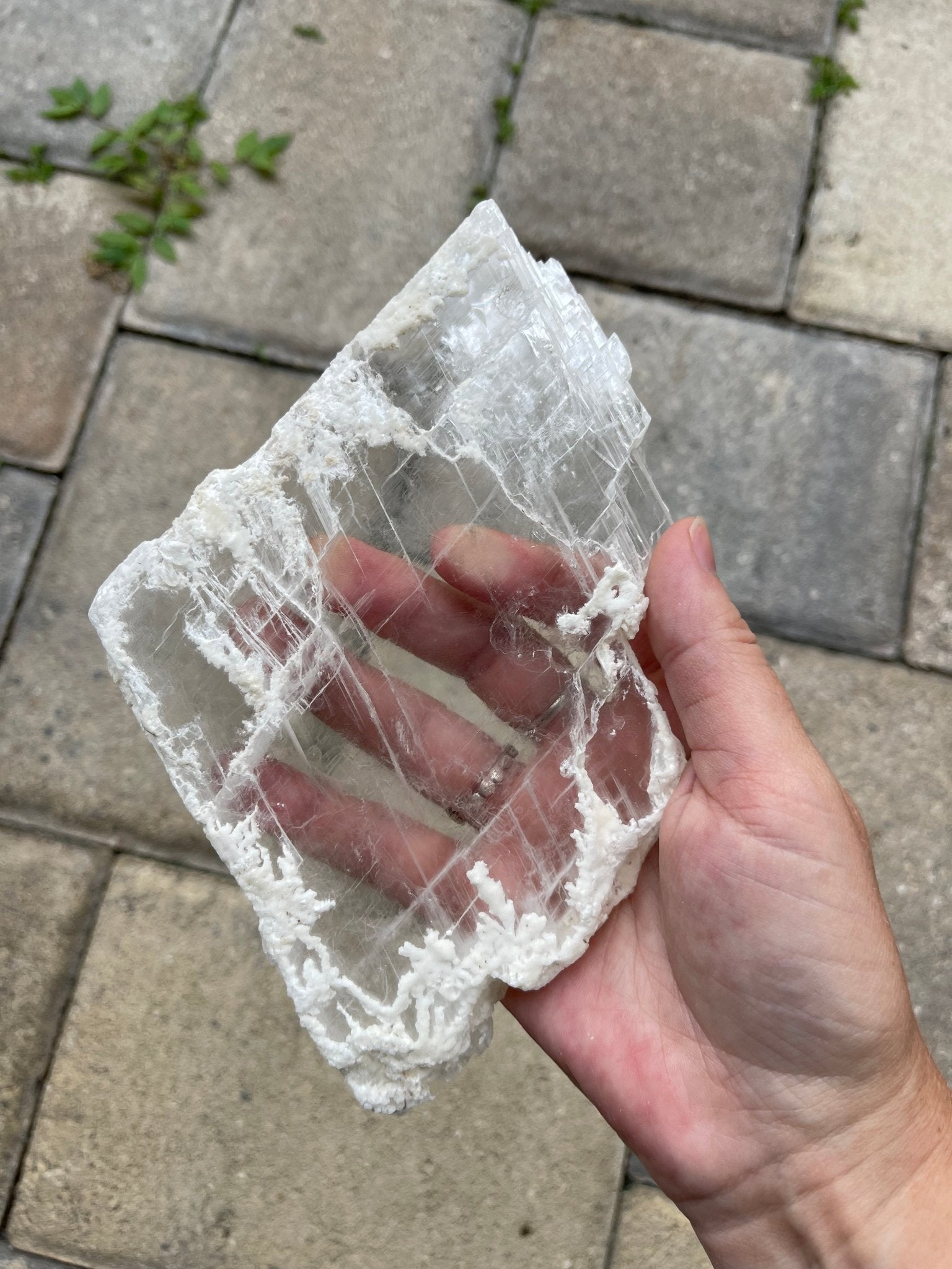 raw selenite crystal slab - lil shop of light & love