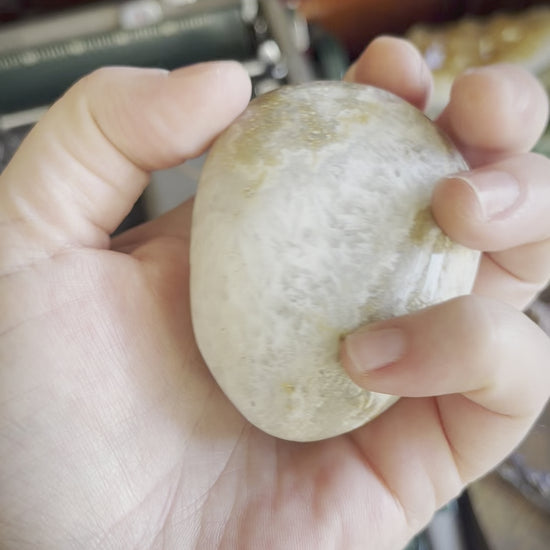 A flower agate palm stone held in a hand.