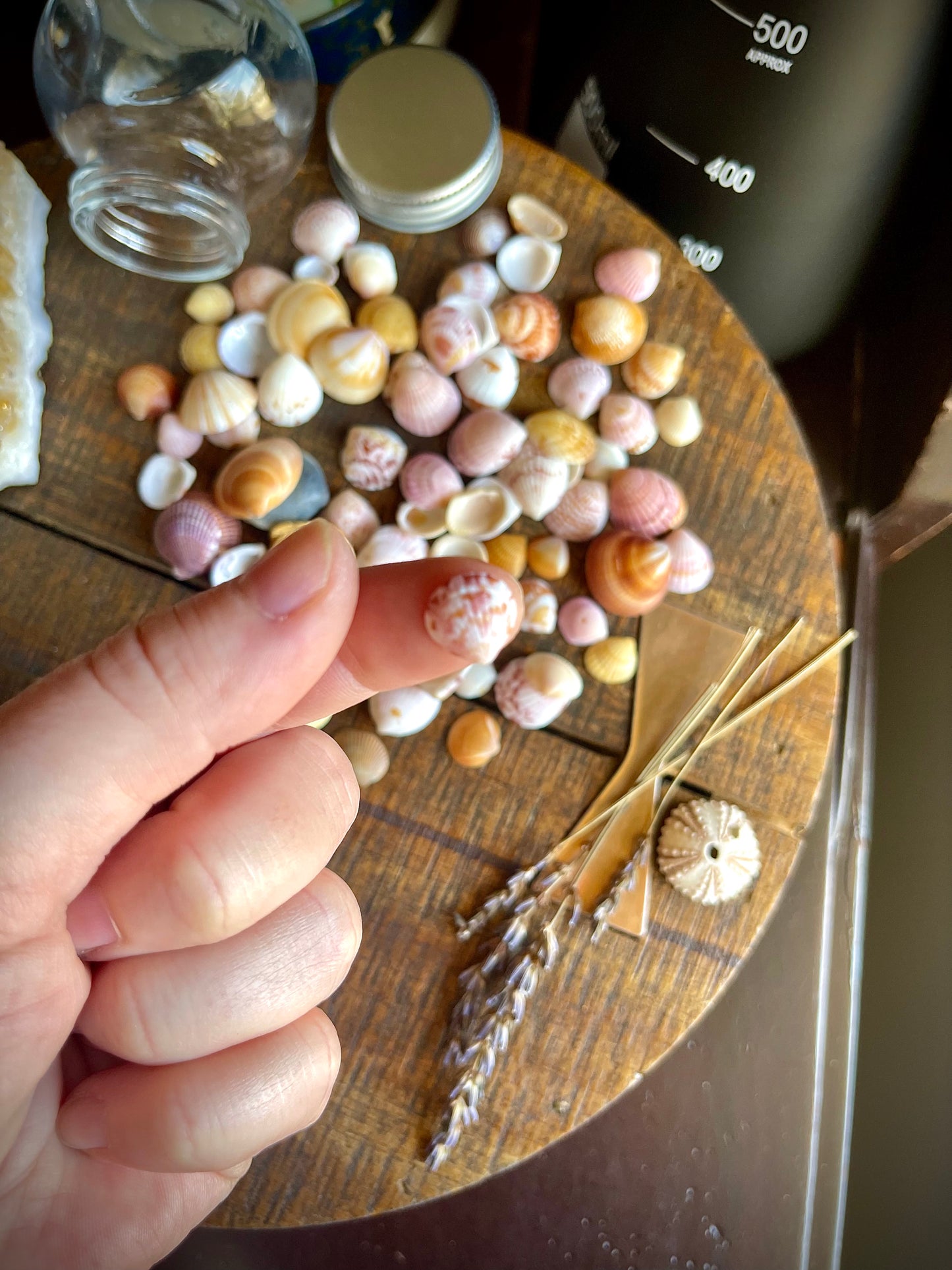 jar of pretty lil sea shells