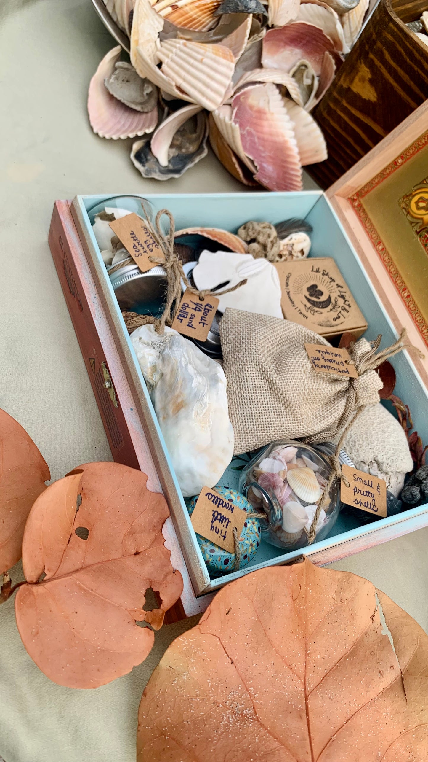 sea witch mystery boxes