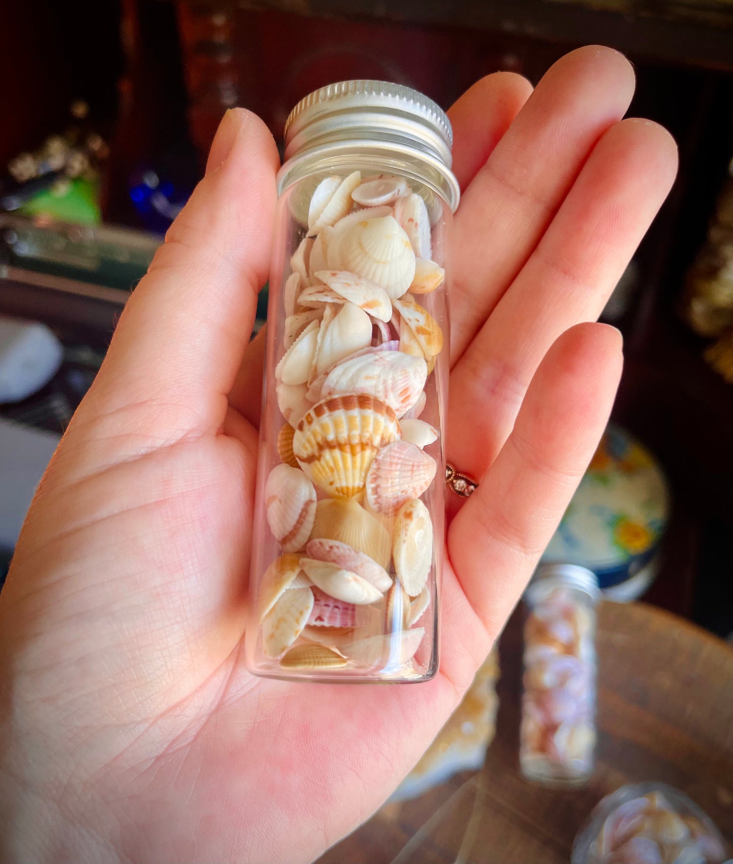 jar of pretty lil sea shells