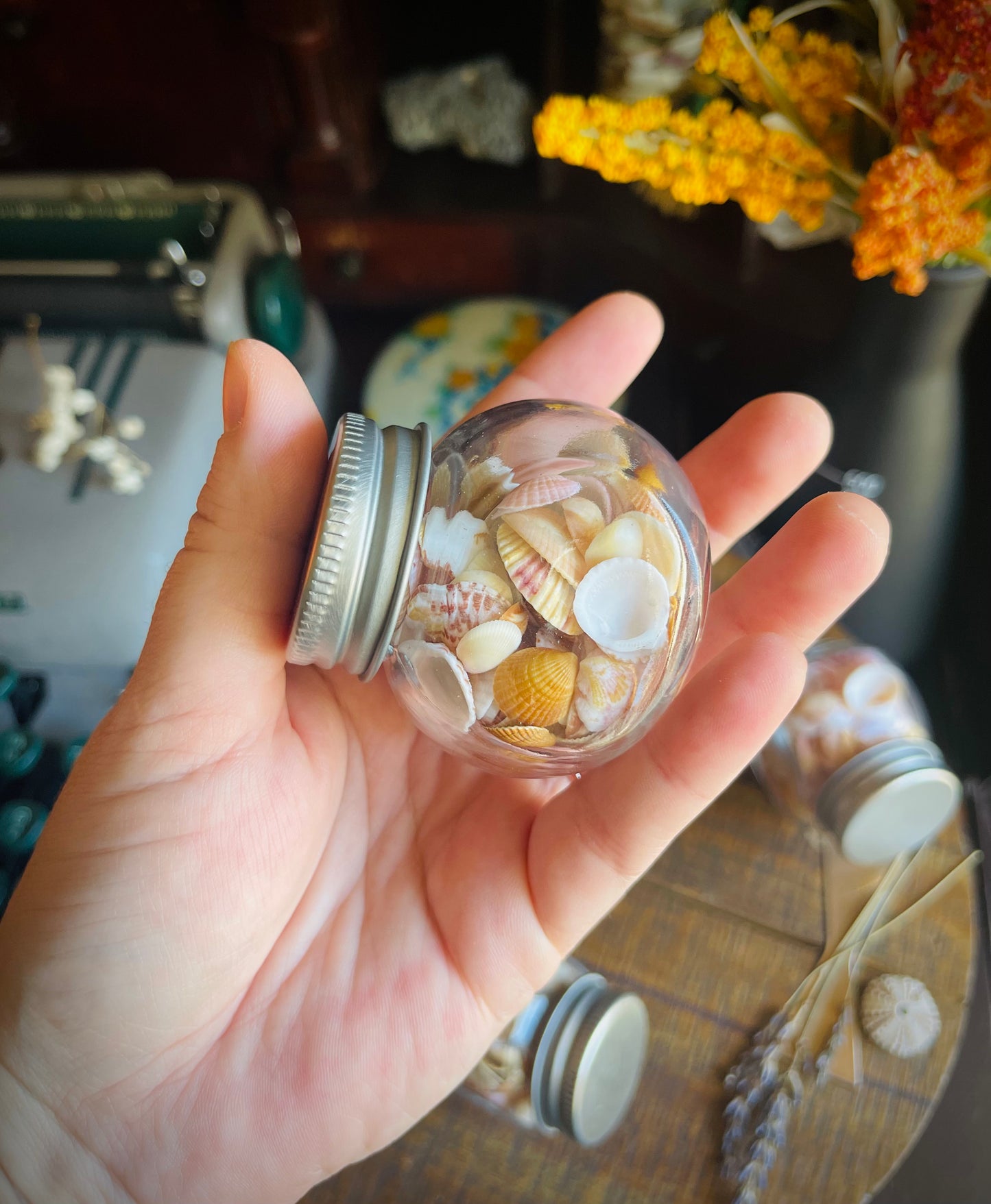 jar of pretty lil sea shells