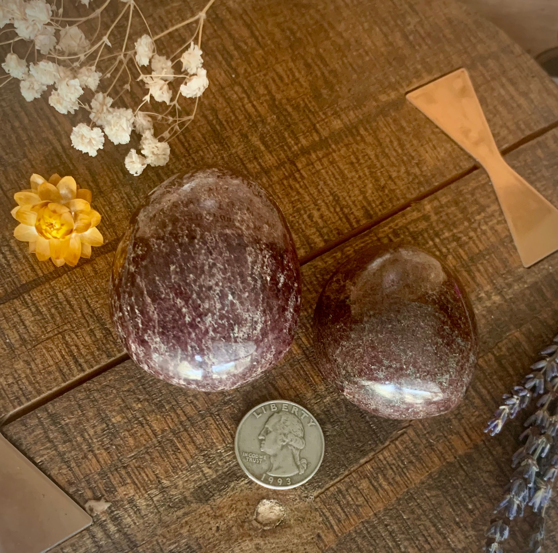 One large & one smaller Garnet palm stones on a wooden surface next to a US quarter for reference.