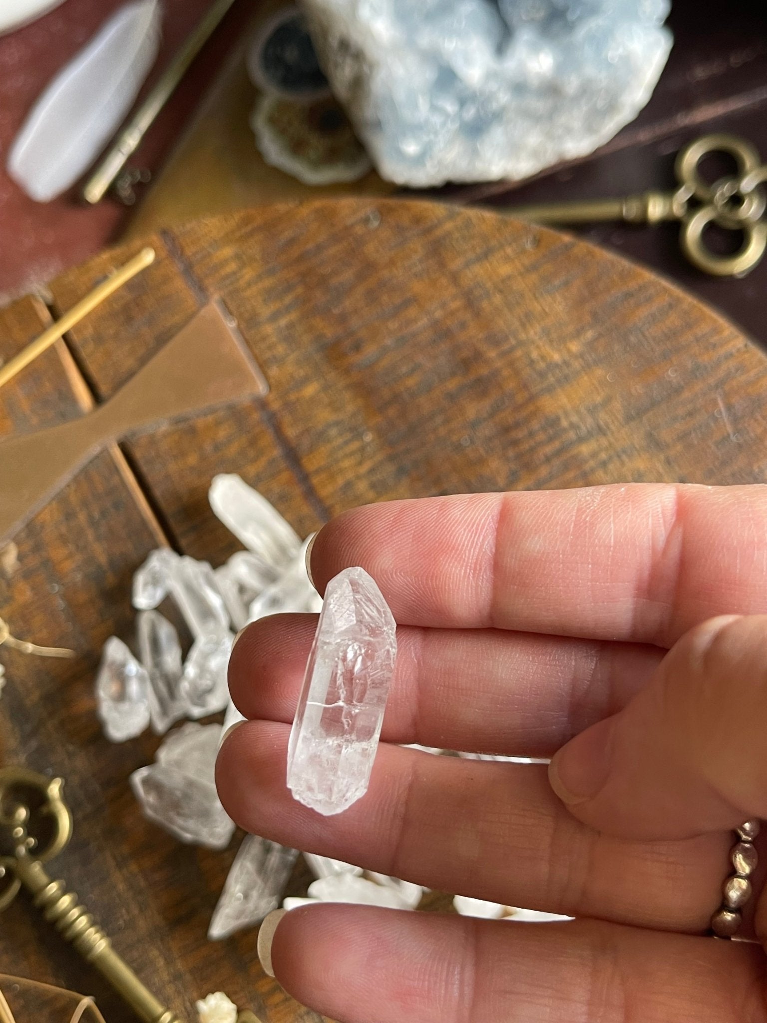 lemurian seed quartz points - lil shop of light & love